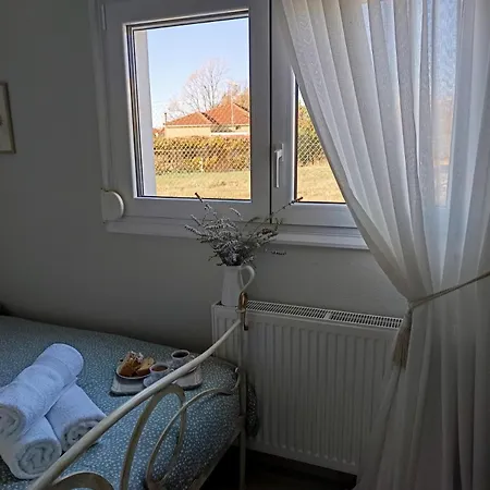 Vintage Garden House Daire