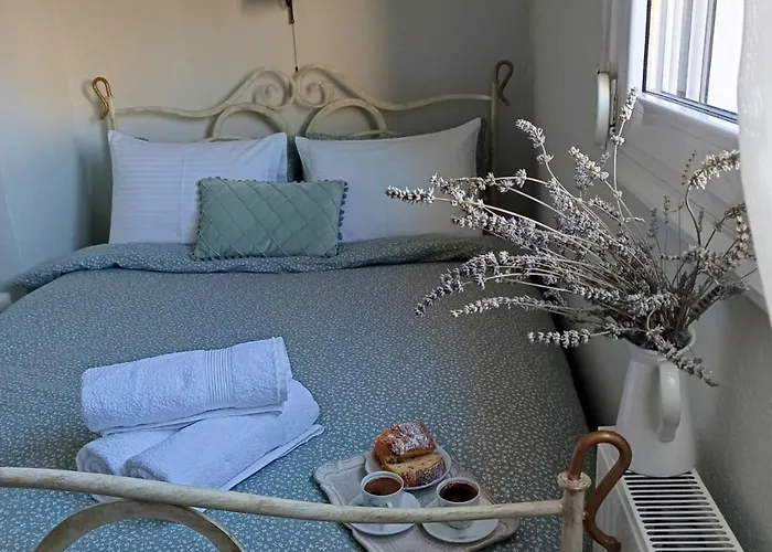 Vintage Garden House Apartamento *